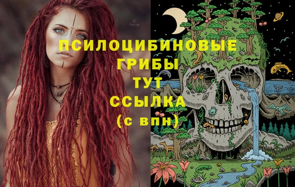 MESCALINE Белокуриха