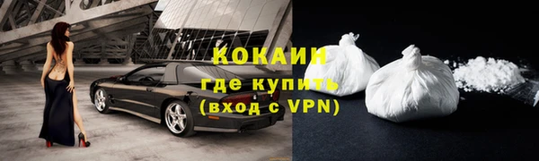 сатива Белоозёрский